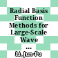 Radial Basis Function Methods for Large-Scale Wave Propagation [E-Book]