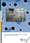 Long term stability and permeability of mixed ion conducting membranes under oxyfuel conditions [E-Book] /