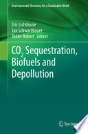 CO2 Sequestration, Biofuels and Depollution [E-Book] /