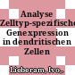 Analyse Zelltyp-spezifischer Genexpression in dendritischen Zellen /