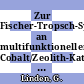 Zur Fischer-Tropsch-Synthese an multifunktionellen Cobalt/Zeolith-Katalysatoren [E-Book] /