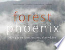 Forest phoenix : how a great forest recovers after wildfire [E-Book] /