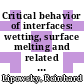 Critical behavior of interfaces: wetting, surface melting and related phenomena [E-Book] /