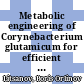 Metabolic engineering of Corynebacterium glutamicum for efficient succinate production /