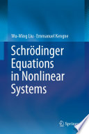 Schrödinger Equations in Nonlinear Systems [E-Book] /