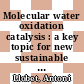 Molecular water oxidation catalysis : a key topic for new sustainable energy conversion schemes [E-Book] /