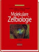 Molekulare Zellbiologie /