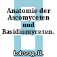 Anatomie der Ascomyceten und Basidiomyceten.