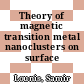 Theory of magnetic transition metal nanoclusters on surface /