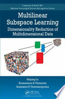 Multilinear subspace learning : dimensionality reduction of multidimensional data [E-Book] /