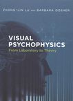 Visual psychophysics : from laboratory to theory /