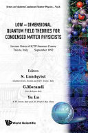 Low dimensional quantum field theories for condensed matter physicists: ICTP summer school: lecture notes : Trieste, 09.92.