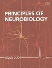 Principles of neurobiology /