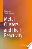Metal Clusters and Their Reactivity [E-Book] /