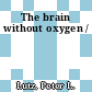 The brain without oxygen /