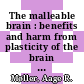 The malleable brain : benefits and harm from plasticity of the brain [E-Book] /