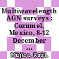 Multiwavelength AGN surveys : Cozumel, Mexico, 8-12 December 2003 [E-Book] /