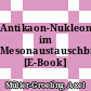 Antikaon-Nukleon-Wechselwirkung im Mesonaustauschbild [E-Book] /