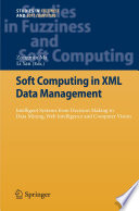 Soft Computing in XML Data Management [E-Book] : Intelligent Systems from Decision Making to Data Mining, Web Intelligence and Computer Vision /