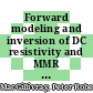 Forward modeling and inversion of DC resistivity and MMR data [Microfiche] /
