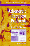 Adrenergic receptor protocols /