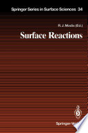 Surface Reactions [E-Book] /