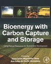 Bioenergy with carbon capture and storage : using natural resources for sustainable development /