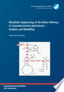 Metabolic engineering of the valine pathway in corynebacterium glutamicum : analysis and modelling /
