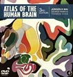 Atlas of the human brain /