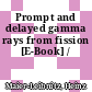 Prompt and delayed gamma rays from fission [E-Book] /