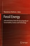 Fossil energy : selected entries from the Encyclopedia of Sustainability Science and Technology /