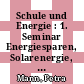 Schule und Energie : 1. Seminar Energiesparen, Solarenergie, Windenergie : Jülich, 3. und 4. Juni 1998 : Tagungsband [E-Book] /