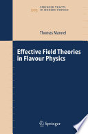 Effective Field Theories in Flavour Physics [E-Book] /
