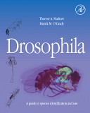 Drosophila [E-Book] : a guide to species identification and use /