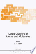 Large Clusters of Atoms and Molecules [E-Book] /