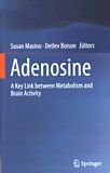 Adenosine : a key link between metabolism and brain activity /