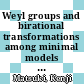 Weyl groups and birational transformations among minimal models [E-Book] /