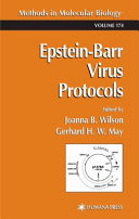 Epstein-Barr Virus Protocols [E-Book] /