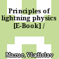 Principles of lightning physics [E-Book] /
