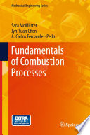 Fundamentals of Combustion Processes [E-Book] /