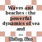 Waves and beaches : the powerful dynamics of sea and coast [E-Book] /