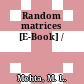 Random matrices [E-Book] /