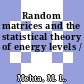 Random matrices and the statistical theory of energy levels /