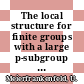 The local structure for finite groups with a large p-subgroup [E-Book] /