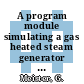 A program module simulating a gas heated steam generator with steam condensation in the primary flow channel [E-Book] /