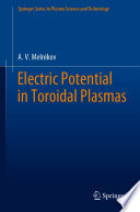 Electric Potential in Toroidal Plasmas [E-Book] /