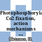Photophosphorylation, Co2 fixation, action mechanisms of herbicides.