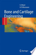 Bone and Cartilage Engineering [E-Book] /