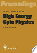 High Energy Spin Physics [E-Book] : Volume 2: Workshops /