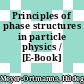Principles of phase structures in particle physics / [E-Book]